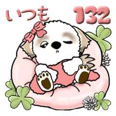 Shih Tzu dog 132 (keep using it)