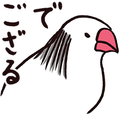 落ち武者文鳥