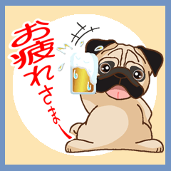 Pug パグ Ver6 普段使いとあいさつ