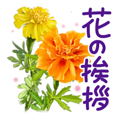 A beautiful flower sticker. Greetings 1