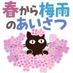 動く!大人かわいい絵本の猫26 春梅雨の挨拶