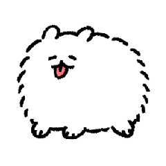 pomeranian of pometone