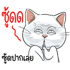 บ๊ะจ่าง แมวขาว