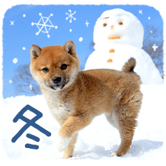 sibainu sticker -Winter-