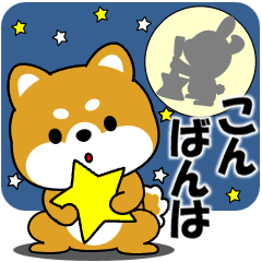 Pop-up! Mameshiba greeting sticker