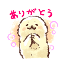 Baby seal_kozarashi