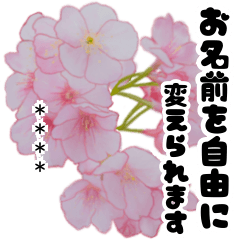 Cherry blossom spring flowers custom 2