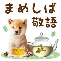 おとなかわいい豆しばのきづかい敬語