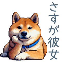 praise girlfriend shiba dog