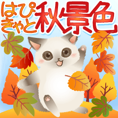 Autumn leaves fluttering about!Happy cat