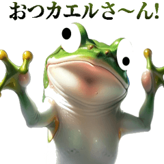 Funny and annoying frogs