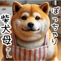 Chubby Shiba Inu Mom