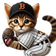 Real Baseball Cat