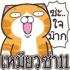 เหมียวซ่า 11