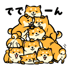 Cute chubby shiba inu for shiba lover 2