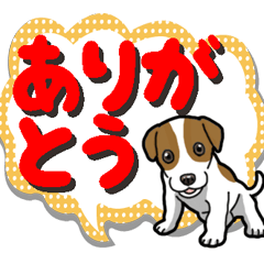 Wanko-Biyori JRT-Jack Russell terrier 8