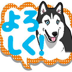 Wanko-Biyori Siberian husky 7