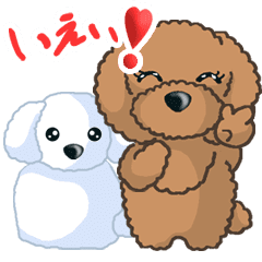 TOY POODLE トイプードル（動く3）