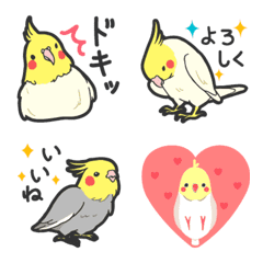 Zoo 10 / Cockatiel 1