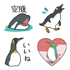 Zoo 19 / Penguin