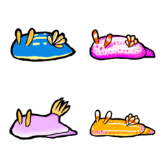 sea slug