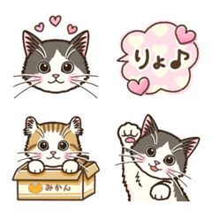 聞き上手なこねこの絵文字♡