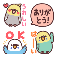 たくさんインコたち 文字入り！