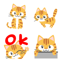 Let's use it! Cute tea tabby cat