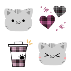 Cute word American shorthair