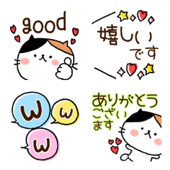 三毛にゃんこ♥毎日のけーご