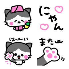 動く❣️ネコだにゃん（ハチワレ）