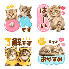 かわいい♡にゃんこ絵文字