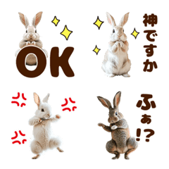 Lively rabbits' daily conversation