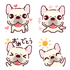 French bulldog fan ! (white and cream)