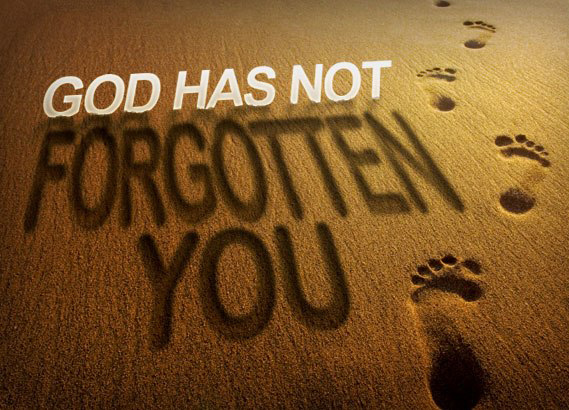 God Has Not Forgotten You