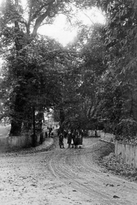 Picture of Berks - Binfield c1900s - N4628