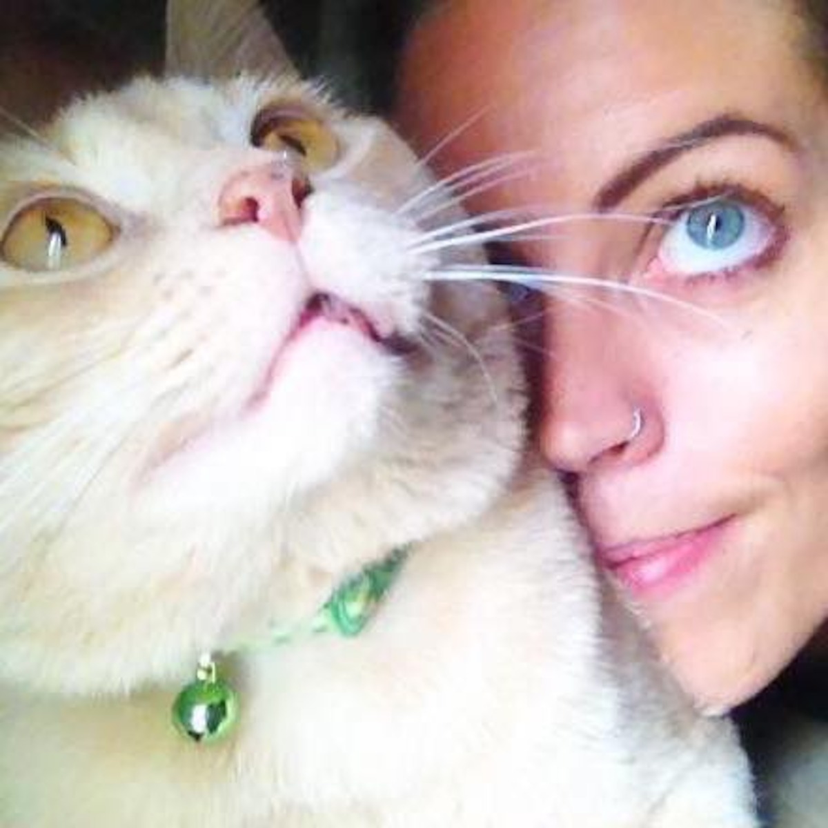 Amanda Antoni with one of her cats