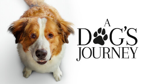 A Dog's Journey