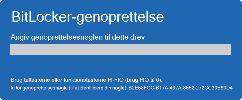 Skærmbillede af BitLocker-genoprettelsesskærmen.