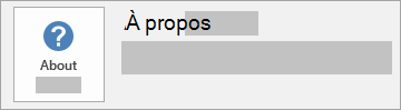 Capture d’écran du bouton À propos d’Office pour une installation MSI. Aucun numéro de version ou de sous-version n’est inclus.