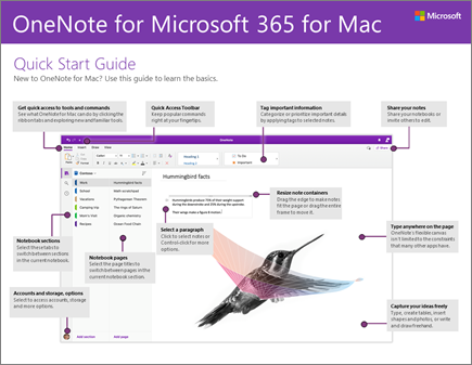 Panduan Mulai Cepat OneNote 2016 untuk Mac