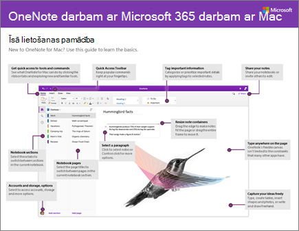 OneNote 2016 darbam ar Mac: īsā lietošanas pamācība