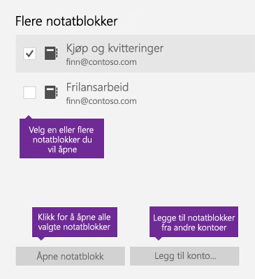 Skjermbilde av Flere notatblokker-vinduet i OneNote