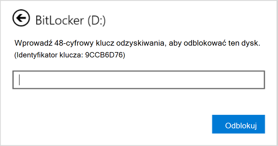 Zrzut ekranu przedstawiający okno dialogowe umożliwiające wprowadzenie odzyskiwania funkcji BitLocker dla dysku danych.