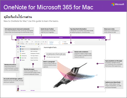 คู่มือเริ่มต้นใช้งานด่วนสำหรับ OneNote 2016 for Mac