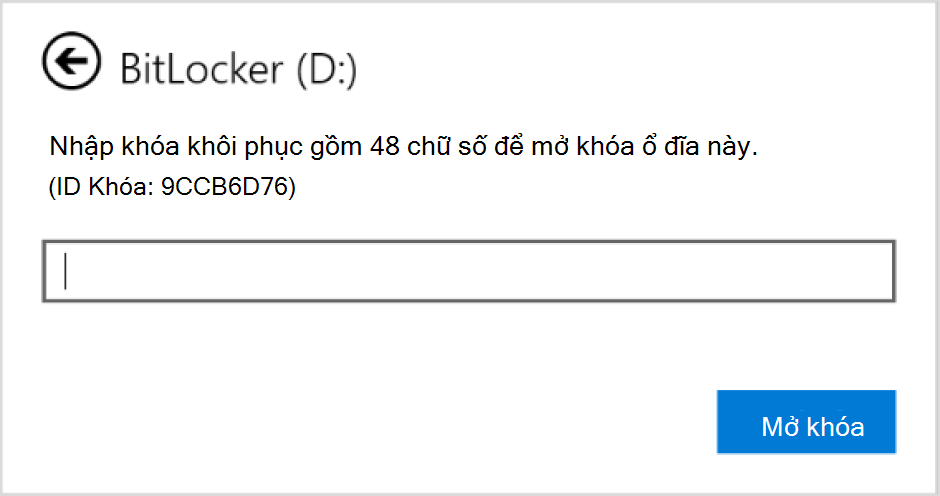 Ảnh chụp màn hình hộp thoại để nhập phục hồi BitLocker cho ổ đĩa dữ liệu.