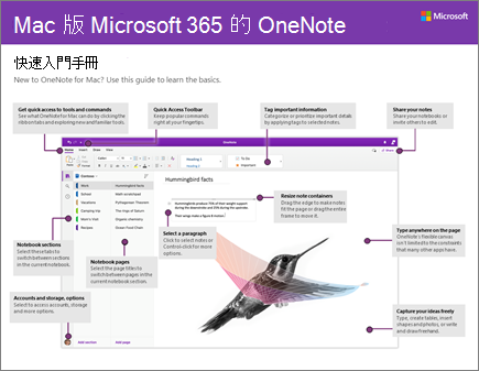 Mac 版 OneNote 2016 快速入門手冊