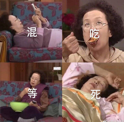 罗文姬表情包