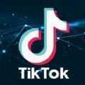 tiktok抖音国际版官网