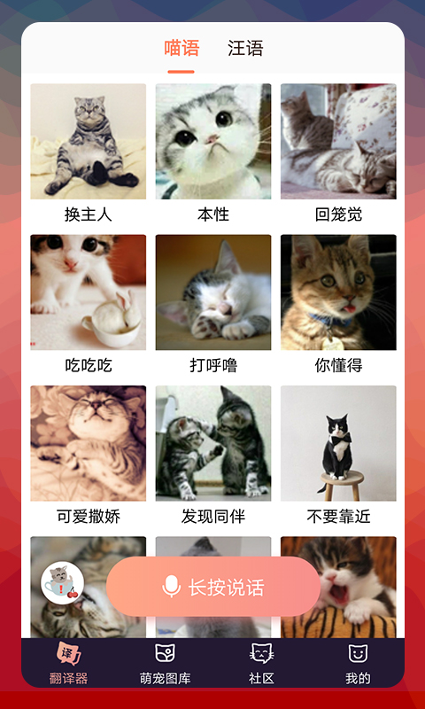 猫语翻译器安卓版